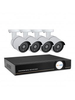 PoE video surveillance kit...