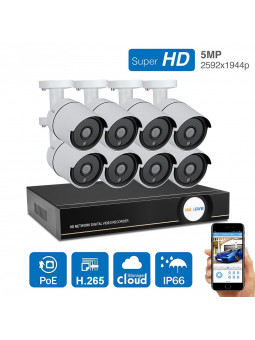 X55068